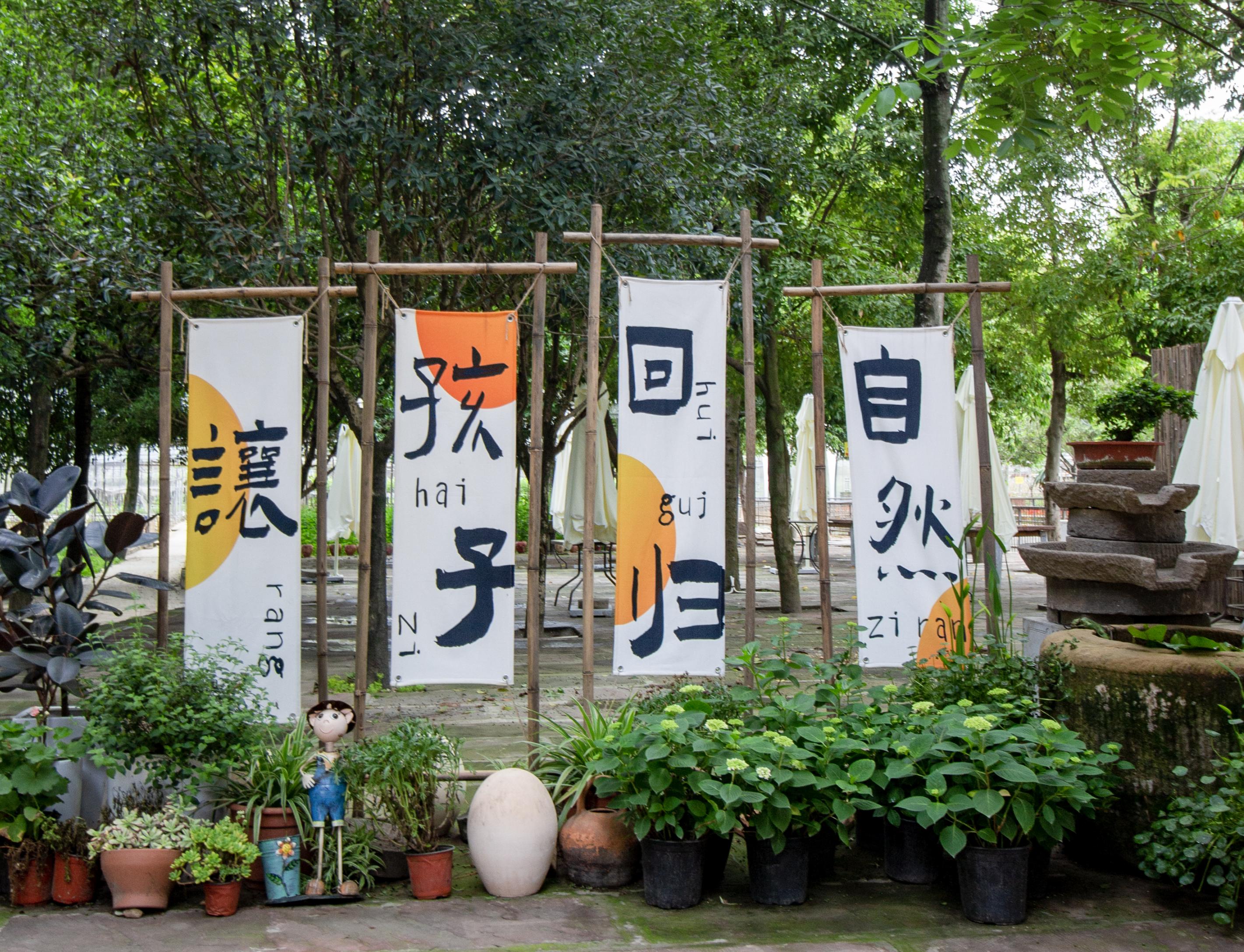 生态有机时蔬
